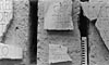 Ward-Perkins Archive, BSR (Sopr. DS 762 Leica)