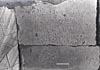 Ward-Perkins Archive, BSR (BSR 48.XXIV.29)