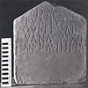 Ward-Perkins Archive, BSR (Sopr. DTV 693 Leica)